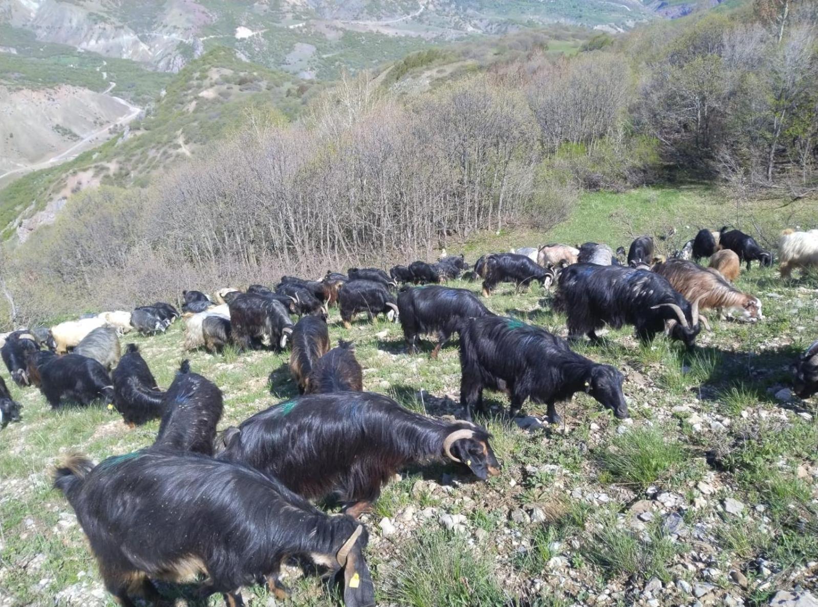 Askireg Hotel Tunceli Екстериор снимка