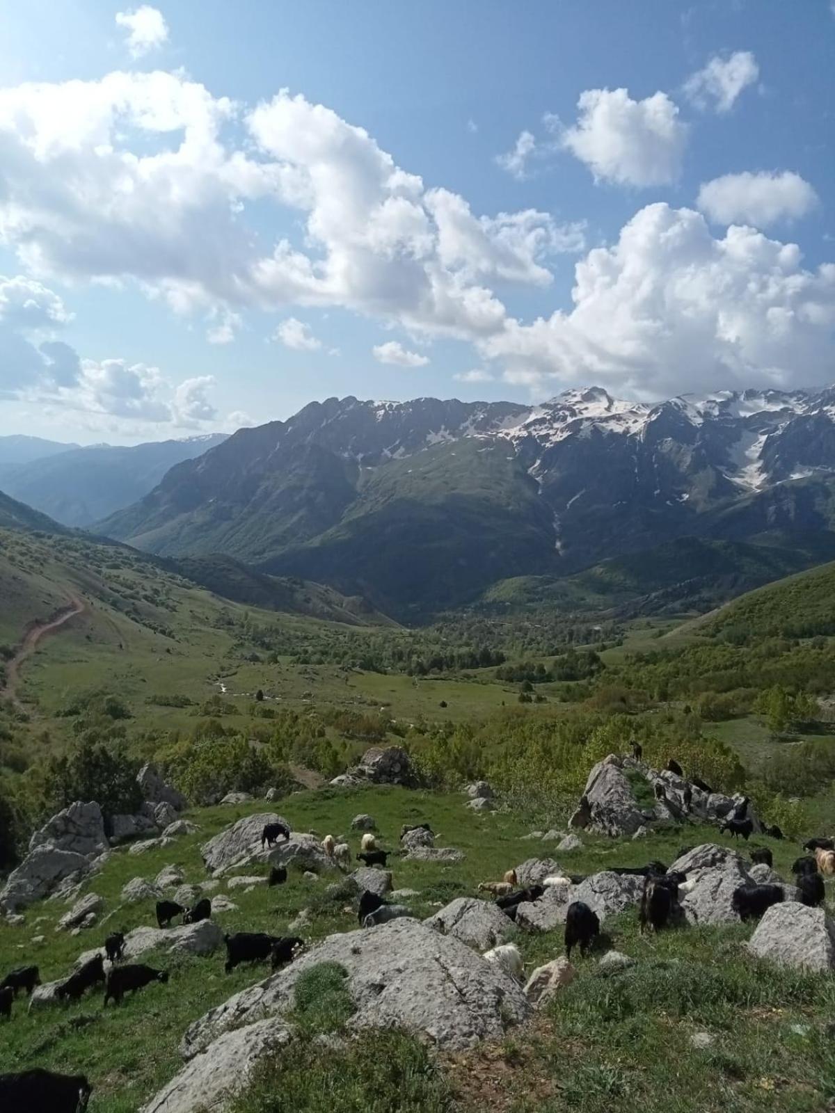 Askireg Hotel Tunceli Екстериор снимка